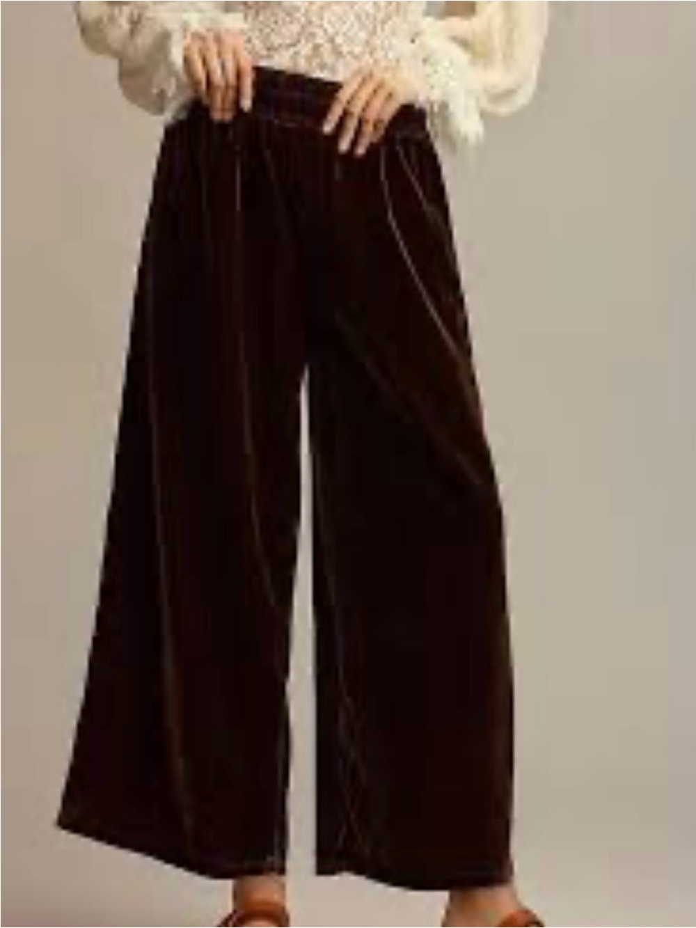 NWT Anthropologie Velvet Wide Leg Pants — Dark Brown